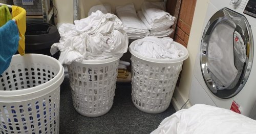 Photo post from kasarstays.