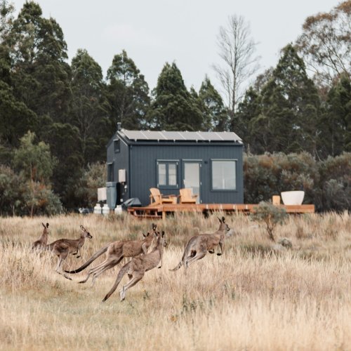 Carousel post from in2thewild.aus.