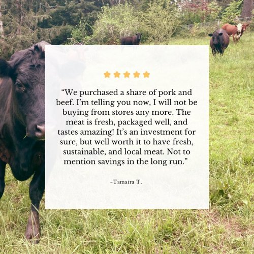 Photo post from hungryhollowfarm.