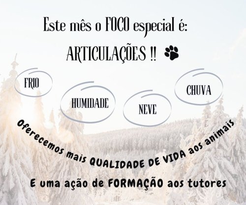 Photo post from clinica_veterinaria_dourosul.