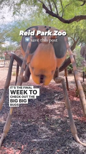 Video post from visittucson.