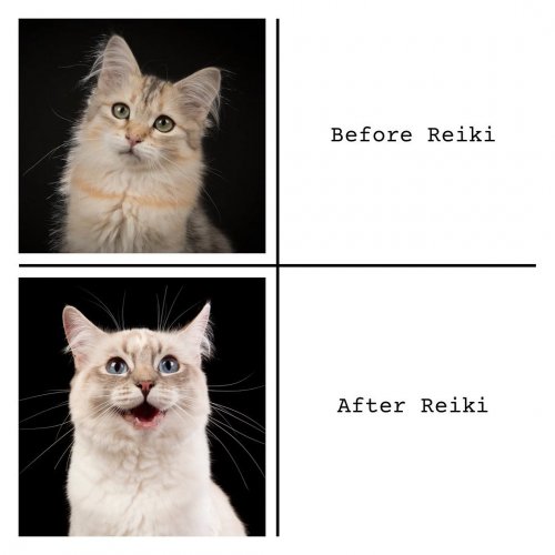 Photo post from sylvanali.reiki.andbeyond.