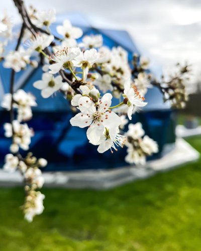 Photo post from glasshouseretreat.