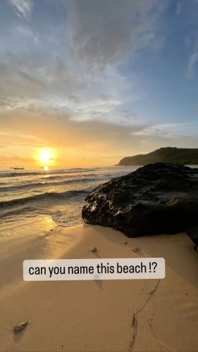 Video post from octopusresort.