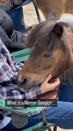 Video post from __amber_lydic__.