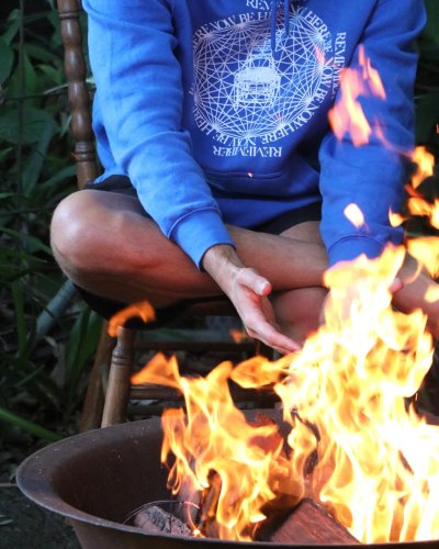 Photo post from currumbinvalleyharvest.