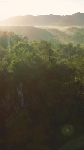 Video post from comvita_au.