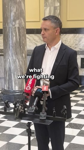 Video post from nzgreenparty.