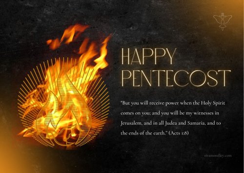 Photo post from drsivamm.