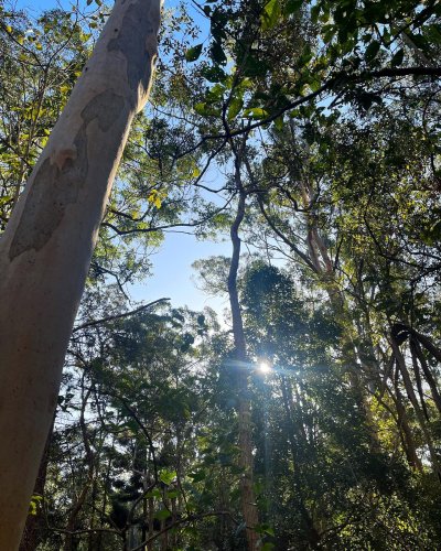 Photo post from sylvanali.reiki.andbeyond.