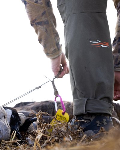 Photo post from northernskiesoutfitters.