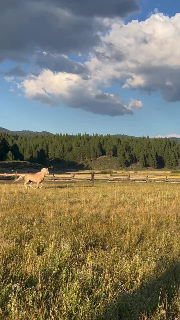 Video post from __amber_lydic__.