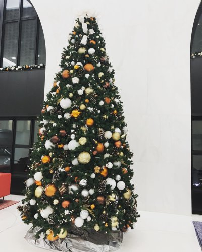 Photo post from nydreamer7.