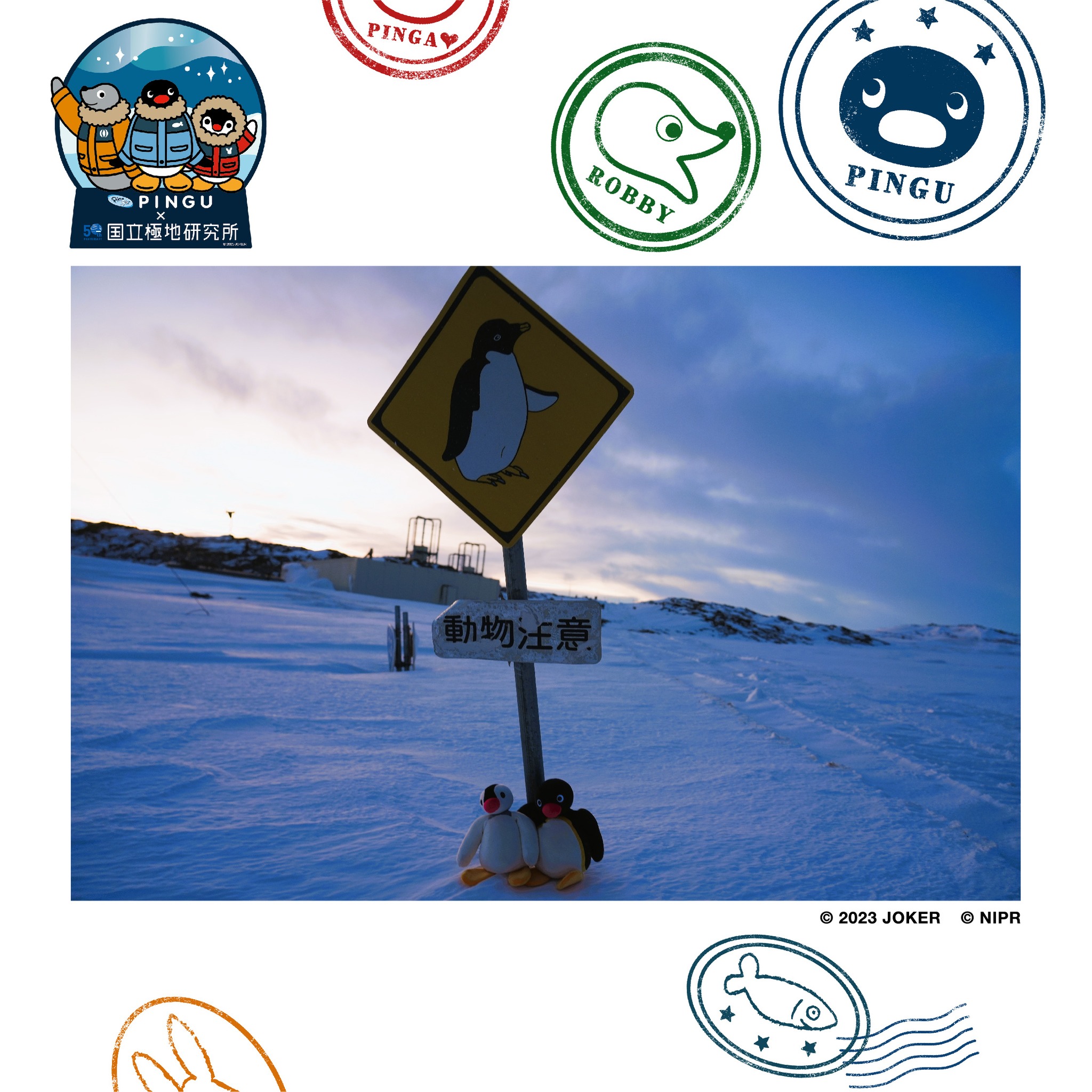 Photo post from pingu_jp.