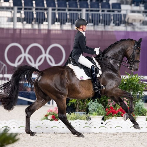 Carousel post from fei_global.