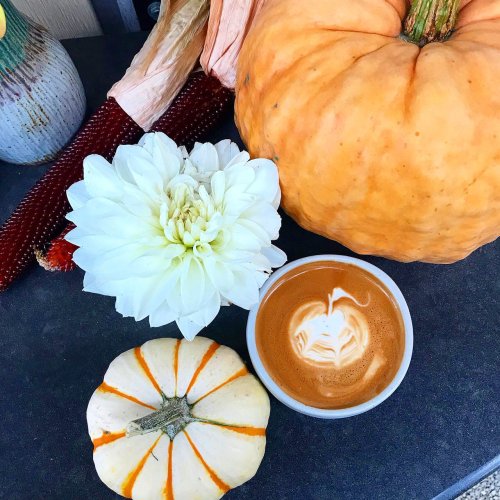 Photo post from equianocoffee.