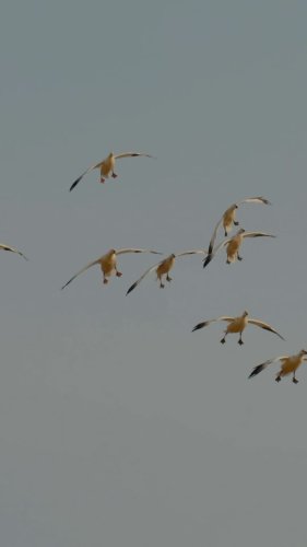 Video post from northernskiesoutfitters.