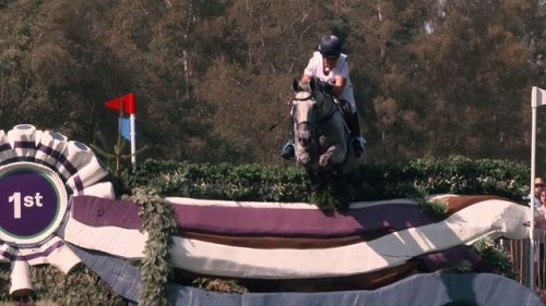 Video post from fei_global.