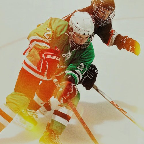Photo post from orhlhockey.