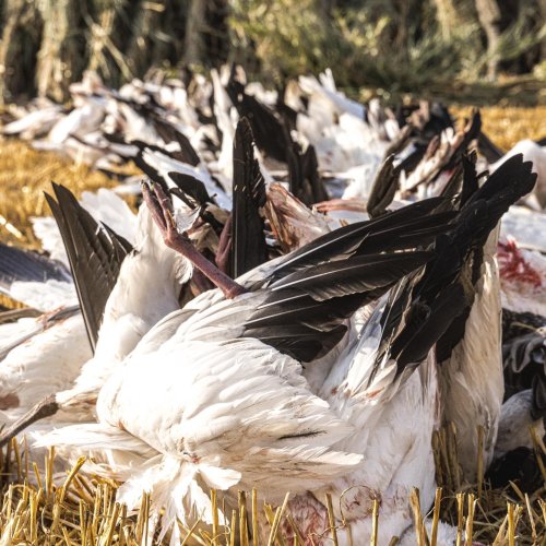 Photo post from northernskiesoutfitters.