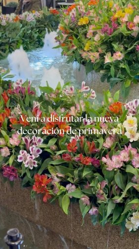 Video post from galeriaspacificoshopping.