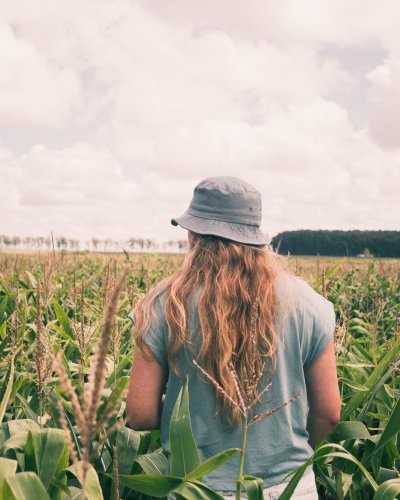 Carousel post from farmbox_arizona.