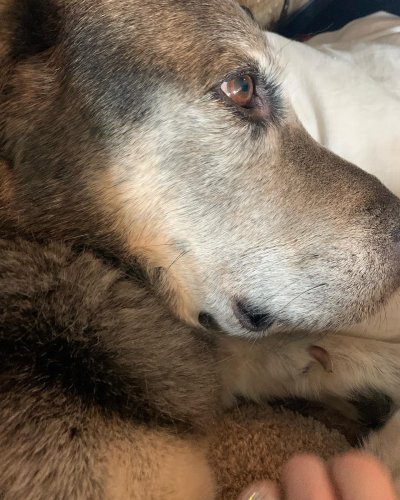 Carousel post from annelizabethjewelry.