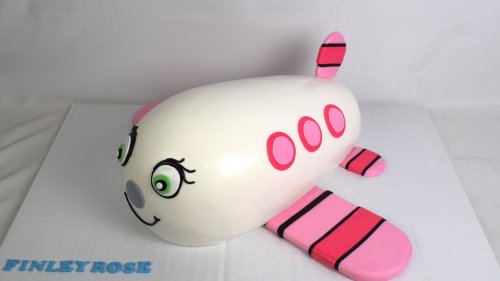 Photo post from marquettescakestudio.