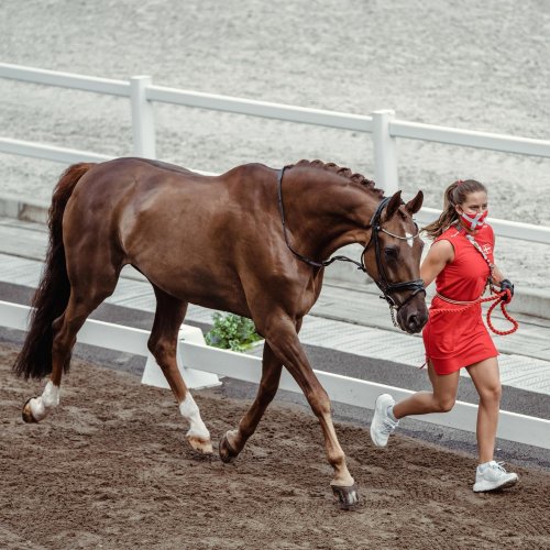 Carousel post from fei_global.