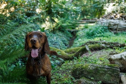 Carousel post from scott.parry.associates.