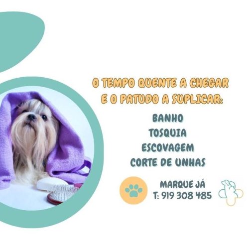 Carousel post from clinica_veterinaria_dourosul.