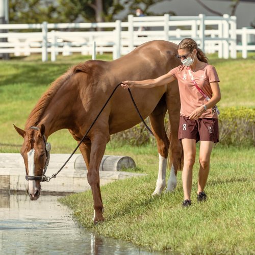 Carousel post from fei_global.