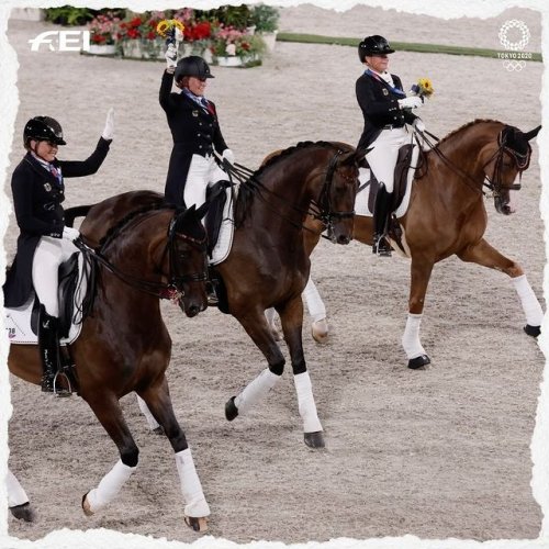 Video post from fei_global.