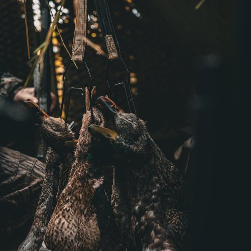 Photo post from northernskiesoutfitters.