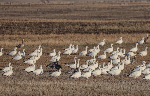 Photo post from northernskiesoutfitters.