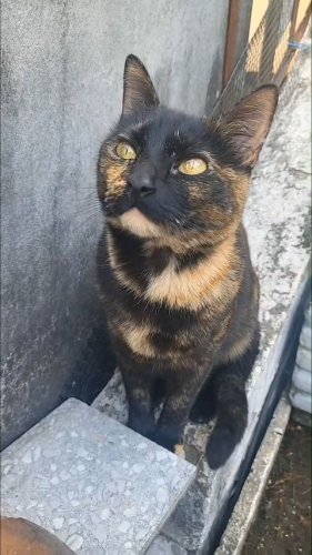 Video post from ira.martelo.