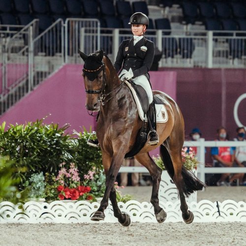 Carousel post from fei_global.