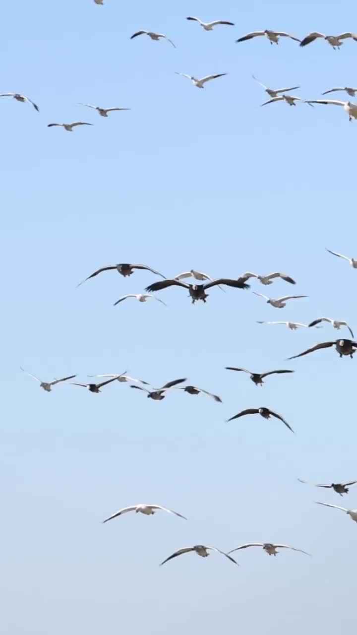 Video post from northernskiesoutfitters.