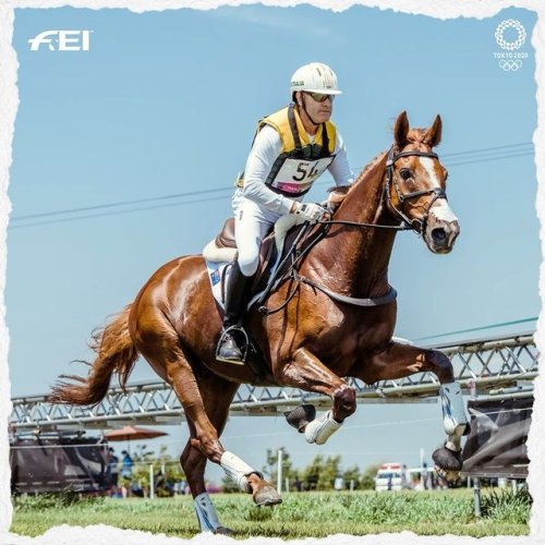 Video post from fei_global.