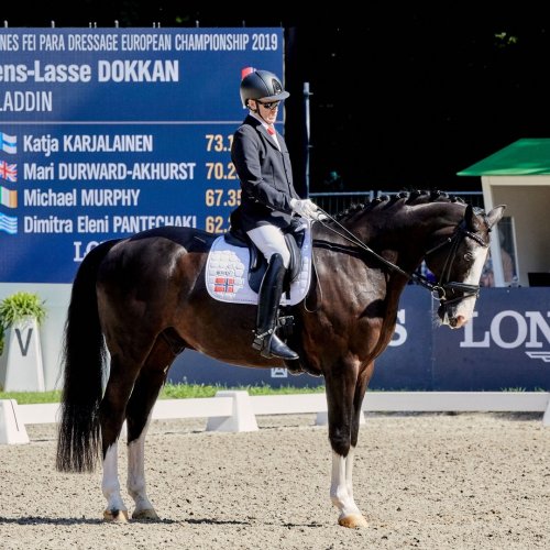 Carousel post from fei_global.