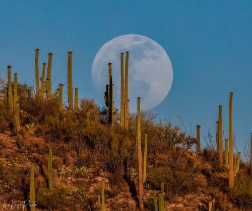 Carousel post from visittucson.