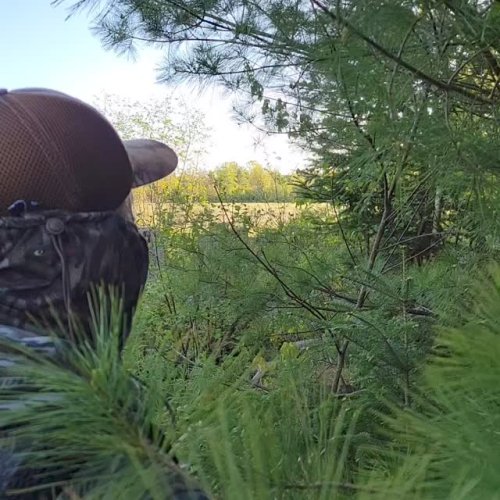 Video post from reddogguideservice.