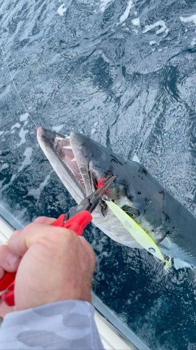 Video post from ejs_fishing_charters.