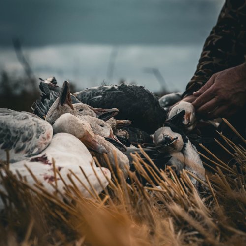 Photo post from northernskiesoutfitters.