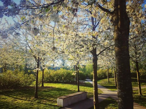 Photo post from visitoirschot.