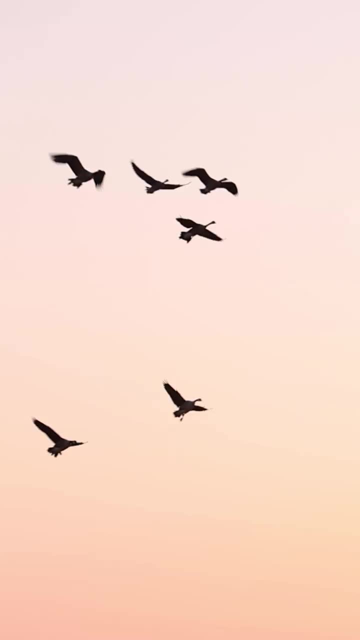 Video post from northernskiesoutfitters.