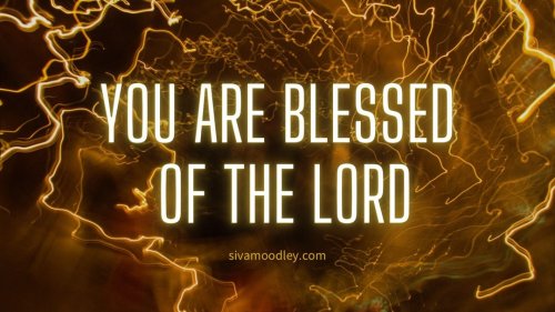 Photo post from drsivamm.