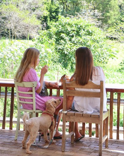 Carousel post from currumbinvalleyharvest.