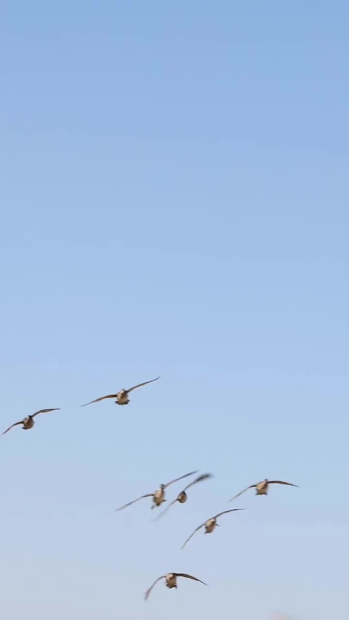 Video post from northernskiesoutfitters.