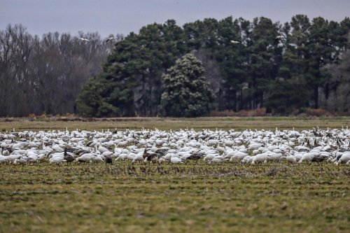 Photo post from northernskiesoutfitters.